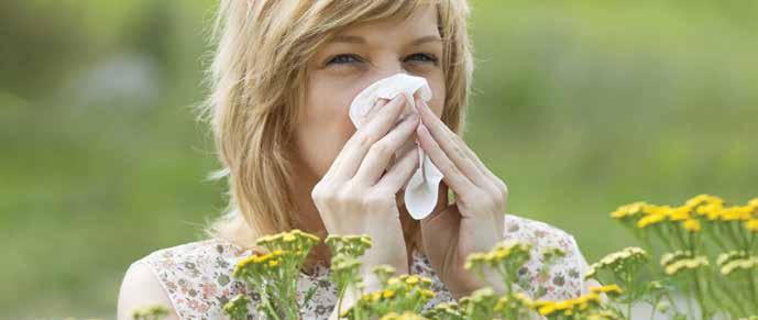 23 OKVIRČEK: Vpliv vremenskih razmer na količino cvetnega prahu v zraku Vremenske razmere močno vplivajo na količino cvetnega prahu v zraku.