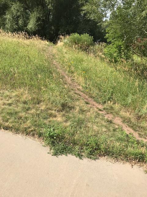 Social Trails and Cross Cutting Apex Park County tried to block Park users