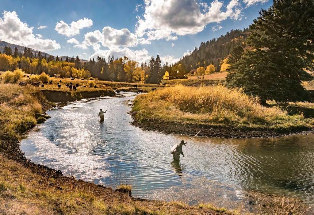 FLY FISHING Enjoy classic western fly fishing on the West Fork of the Dolores River.