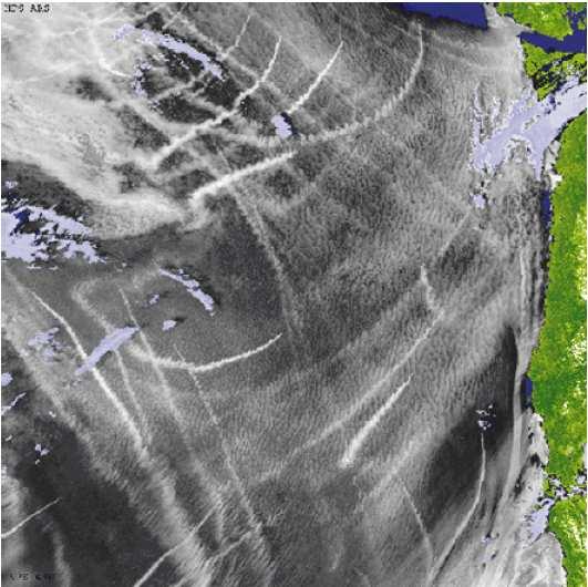 17 18 Troposferinio aerozolio inicijuotas St debesų susidarymas virš jūros ties ŠV JAV krantais Baltos linijos laivų dūmai, pilka spalva St debsys, juoda spalva giedra, melsva spalva Cu debesys.