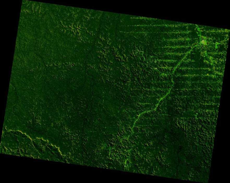 Amazonės miškų kirtimas 1986 m. http://visibleearth.nasa.gov/ Randonija, Amazonės baseino centrinė dalis Amazonės miškų kirtimas 1992 m. http://visibleearth.nasa.gov/ Randonija, Amazonės baseino centrinė dalis Amazonės miškų kirtimas 2006 m.