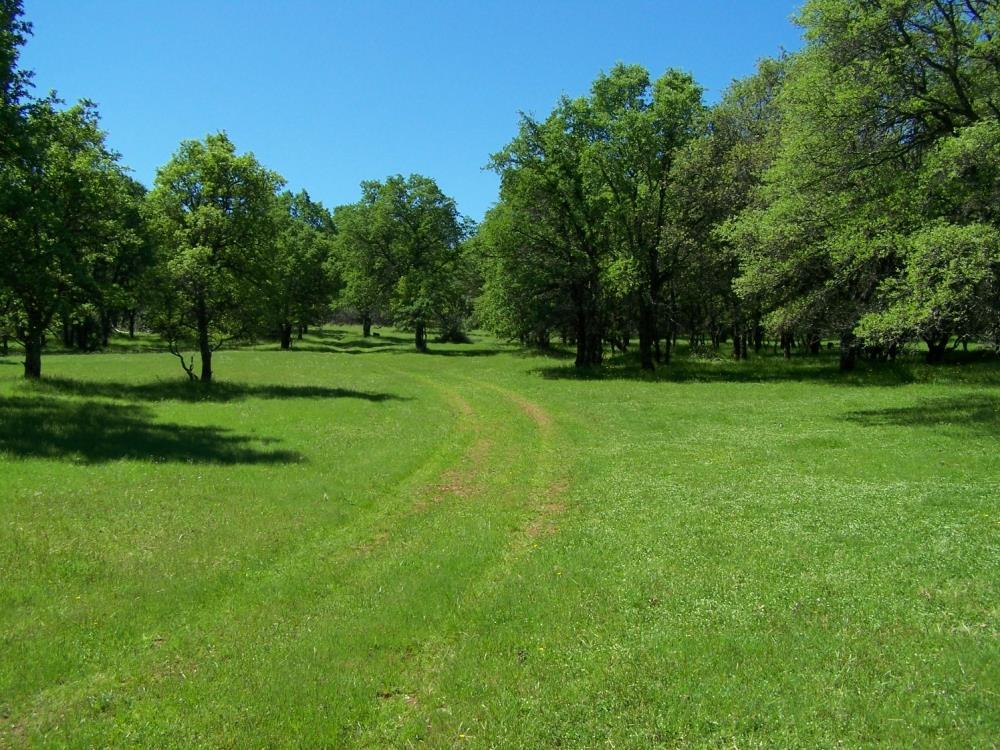 The Property This 55 acres is located midway between the historic California gold rush towns of Placerville and Auburn and is approximately 1 mile south of the intersection of Salmon Falls Road and