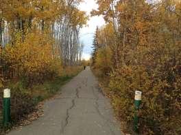 95 Community Trail System Groundcover: 2-metre paved path, 1- metre grass buffer on either side. Location: Fort St. John Ownership: City of Fort St. John Rating: 5.