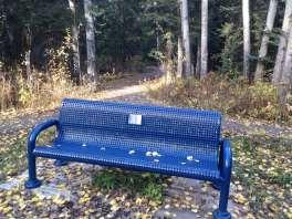 Groundcover: Asphalt trails, natural groundcover. Site furniture: Benches, waste bins, signage. Access to washrooms: Outhouses. Code compliance: n/a. Handicapped access: No Appearance: very good.