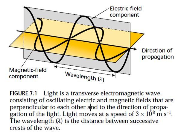 Apsorpcija svetlosti Sunčevo zračenje se odlikuje dualističkom prirodom, s obzirom da ima osobine talasa i osobine čestica.