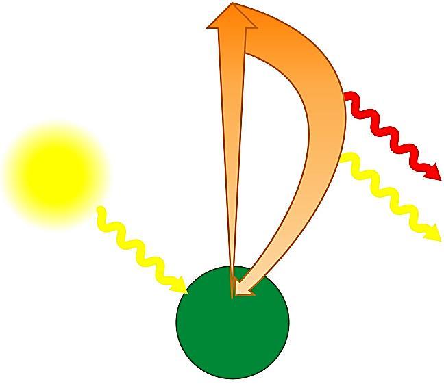 Ekscitacija hlorofila pri apsorpciji plave i/ili crvene svetlosti Osnovno stanje elektroni koji čine spoljašnji omotač molekula vezani su za svoje orbite i nalaze se na najnižem energetskom nivou.
