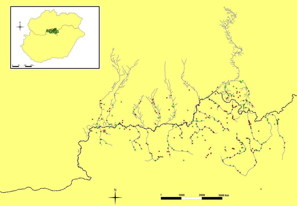 Obr 2: Výsledky mapovania vydry riečnej v slovensko-maďarskej cezhraničnej oblasti povodia stredného Ipľa v zime 2010 2011 (zelené krúžky znázorňujú prezenciu vydry na základe trusu, červené absenciu