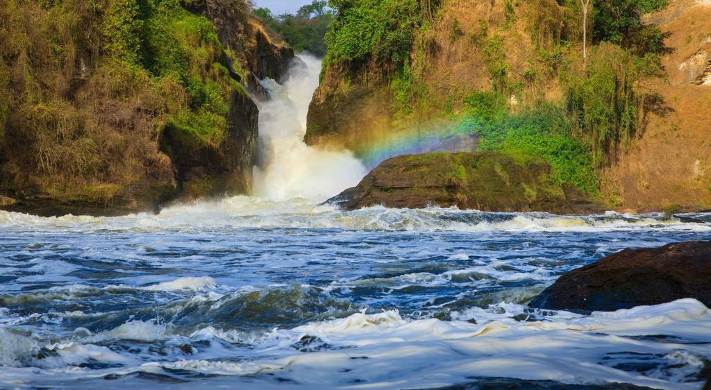 N AT ION AL PARKS OF U GANDA (CO NT. ) MURCHISON FALLS NATIONAL PARK The largest protected space in Uganda is Murchison Falls National Park.