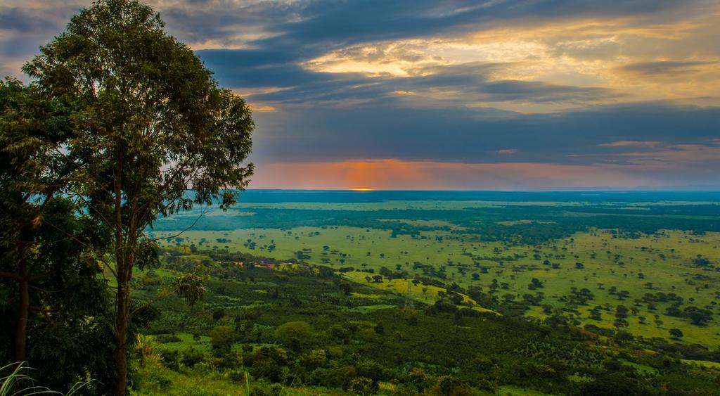 NATIONAL PARKS OF UGANDA BWINDI IMPENETRABLE NATIONAL PARK A jewel of Uganda, Bwindi Impenetrable National Park is located on the western rift valley s edge.