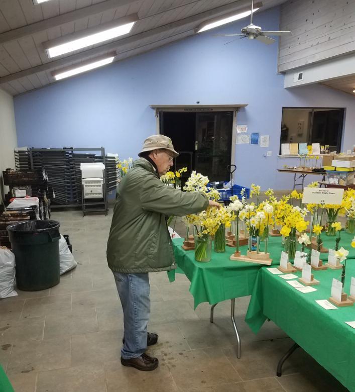 2 48 th ANNUAL BAY AREA DAFFODIL SHOW, LIVERMORE CALIFORNIA The 48 th Annual Bay Area Daffodil Show was held at the Arden Lane Nursery in Livermore, CA from Saturday to Sunday, March 3 and 4, 2018.