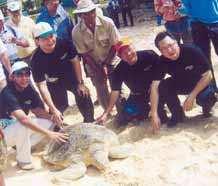 SARAWAK TIMBER INDUSTRY DEVELOPMENT CORPORATION (STIDC) SEA TURTLE ADOPTION PROGRAMME Sea Turtle Adoption Programme is one of the extensive efforts in the protection of wildlife in Sarawak Sarawak s