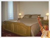 your browser) http://www.hotelskosova.