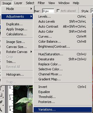 Image Adjustments Prilagođavanje boja 109 Prilagođavanje boja (2) Image Adjustments Variations