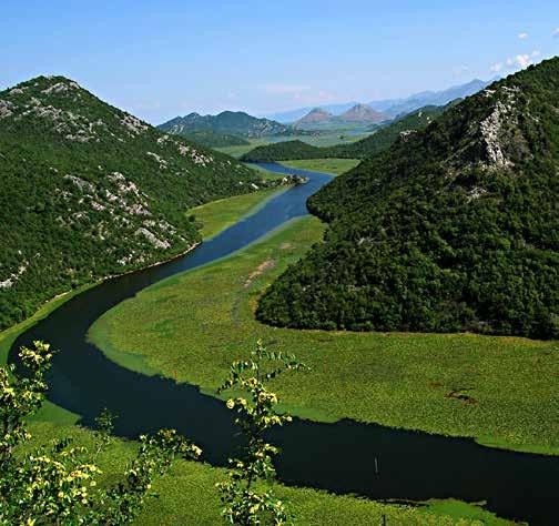 Sunday Skadar Lake Dragan Bespaljko Concierge Manager For all nature-lovers, a one-day trip to the Skadar Lake is a must do for the the holiday Agenda.