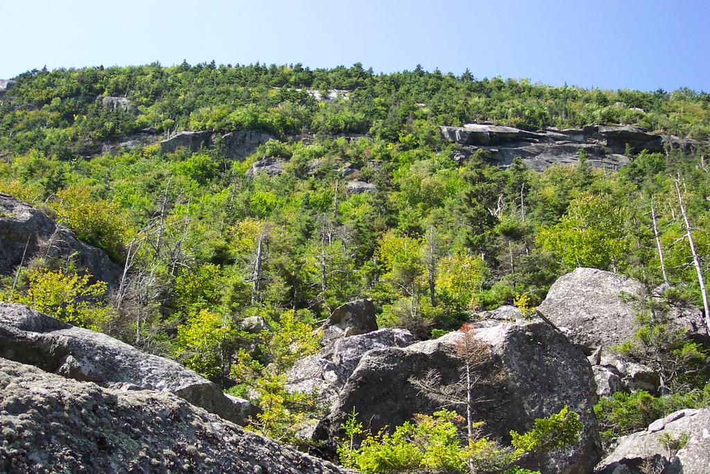 Focus Areas of Statewide Ecological Significance: Mahoosuc Mahoosuc Notch, Maine Natural Areas Program FOCUS AREA OVERVIEW The Mahoosucs Focus Area supports a variety of intact habitats that cover a