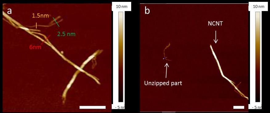 Supplementary Figure 3. AFM images of unzipped nanostructures produced from N- dopant-specific unzipping process.