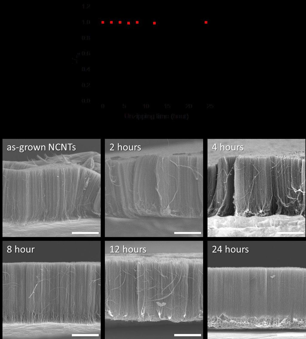 Supplementary Figure 5. SEM images of vertical unzipped nanostructure forest and the change in the length of CNTs after unzipping process.