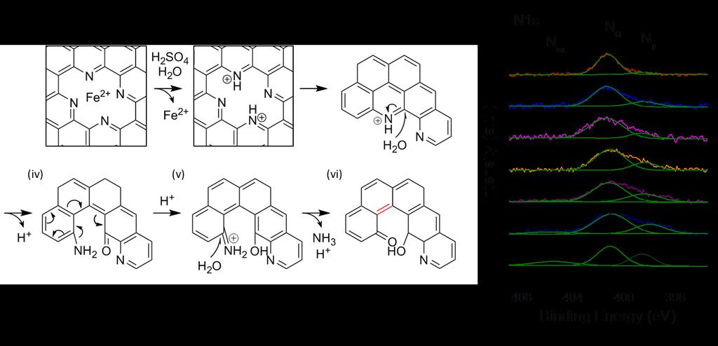Supplementary Figure 7. Acid-catalyzed imine hydrolysis in unzipping process Temporal analysis of N1s XPS spectra clearly shows that prydinic N (N p ) is strongly involved in the unzipping process.