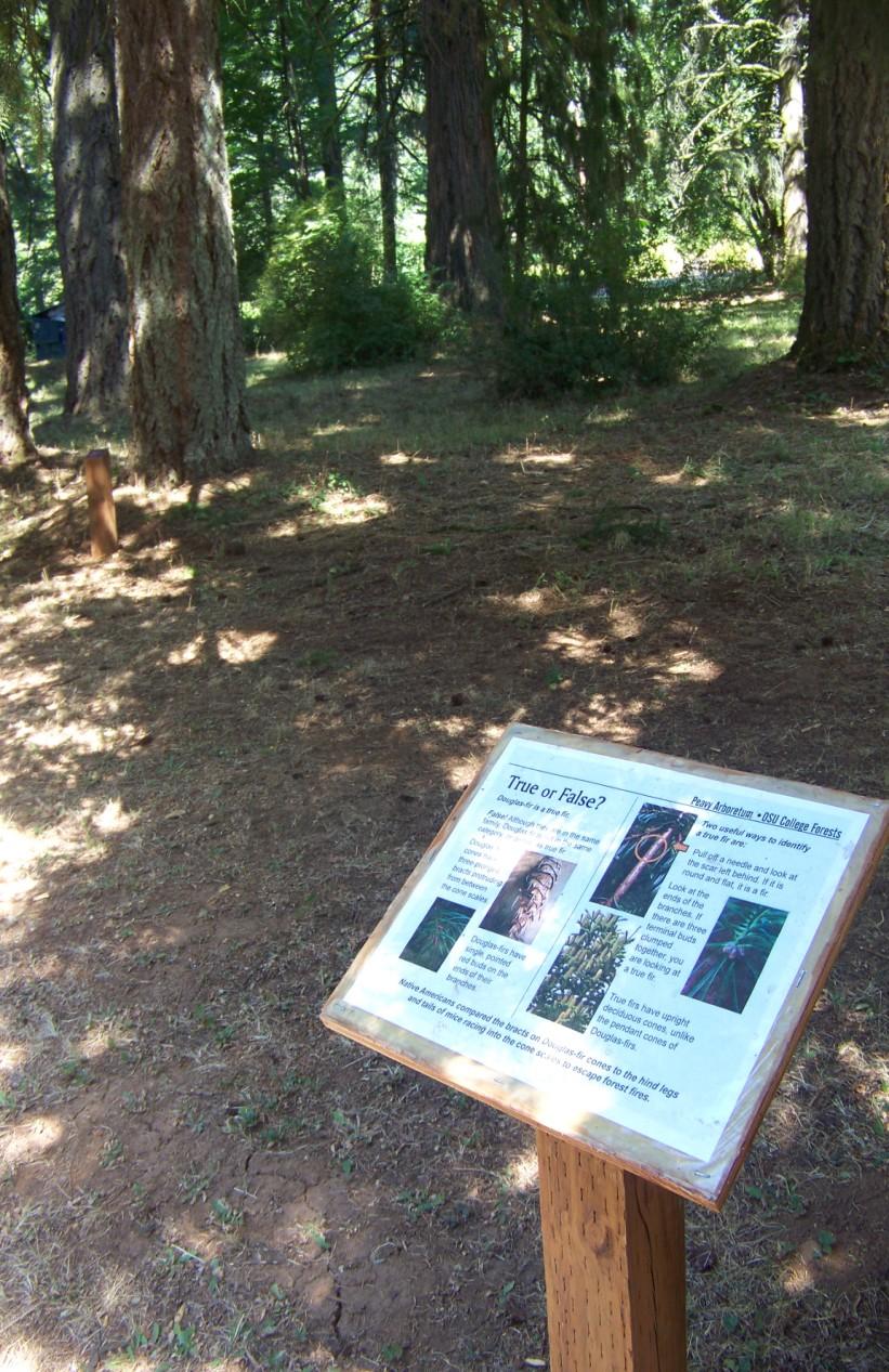 Over 200 species identifying tree posts were installed throughout the arboretum.