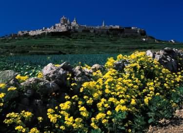 Afterwards you will be seeing the medieval walled Silent City of Mdina with