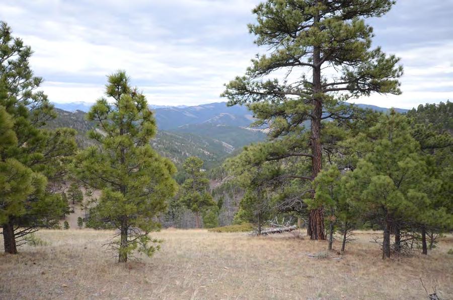 Recreational/Hunting Opportunities In addition to the activities directly on the property, the 7 R Guest Ranch is located within easy distance of a multitude of area recreational opportunities