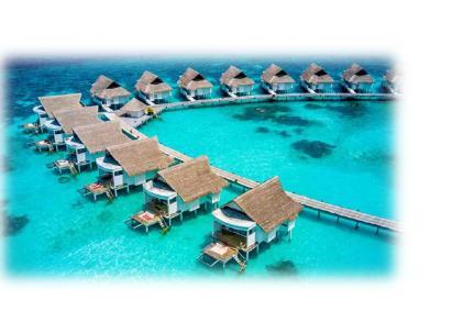 A 30-minute guided house reef snorkeling tour once per stay Complimentary daily sunrise and sunset yoga session Snorkeling equipment (mask and fins only) 3s 4 s Extension Overwater