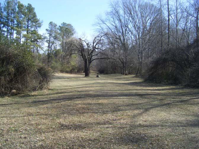 Looking east along the south end of the Chapel Hill Tennis Club property.