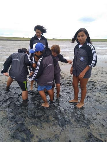 instance. The water is not always there and at specific times, you are able to make a mudflat hiking tour.