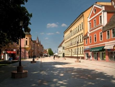 Turistički projekti u prostornim planovima grada Vinkovaca (temeljeno na dosadašnjoj praksi zdravog urbanog planiranja) su: urbanistički plan uređenja Sopota u Vinkovcima (izgradnja arheološkog