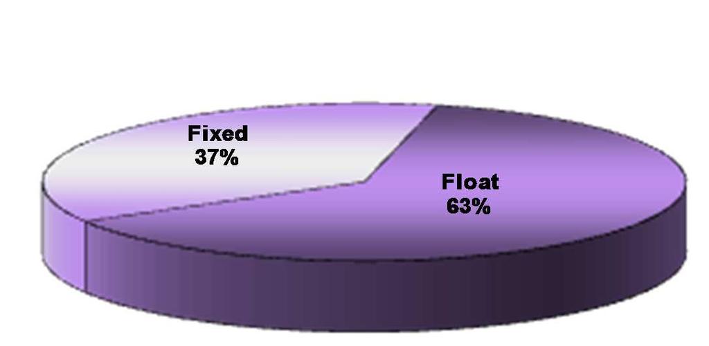 Debt Structure Proportion of Fixed and Float (As of JUN