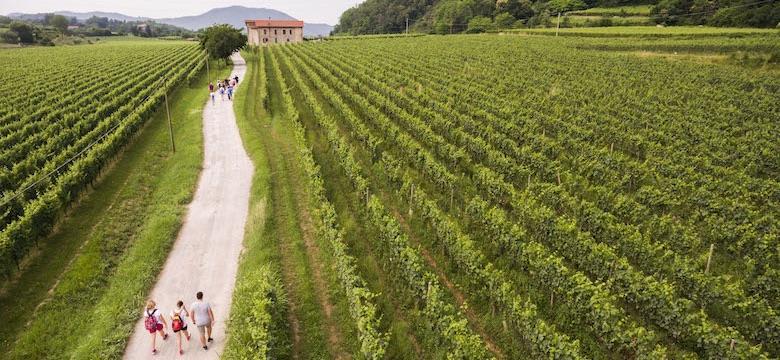 Franciacorta as a wine tourism destination Franciacorta Wine Route is 4 th among the 15 tastiest wine and food routes in Italy according to Expedia (1) Preceded by: