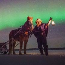 2 PERSONS, PRICE: 60 HORSE SLEIGH RIDE Come with us to search for the Northern Lights on horses open sleigh.