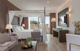 JUNIOR SUITE WITH BALCONY With a balcony Room: 37 m² King size bed and sofa bed Open