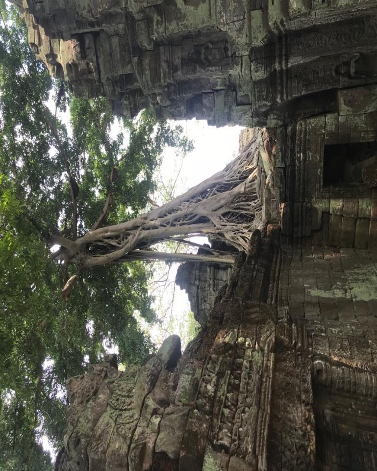 Mindfulness in Practice: Meditation Deep breathing Mindful walking Being present Qigong Art Therapy Cambodia Retreat Consider a week away in Siem Reap with a group a journey to discover yourself and
