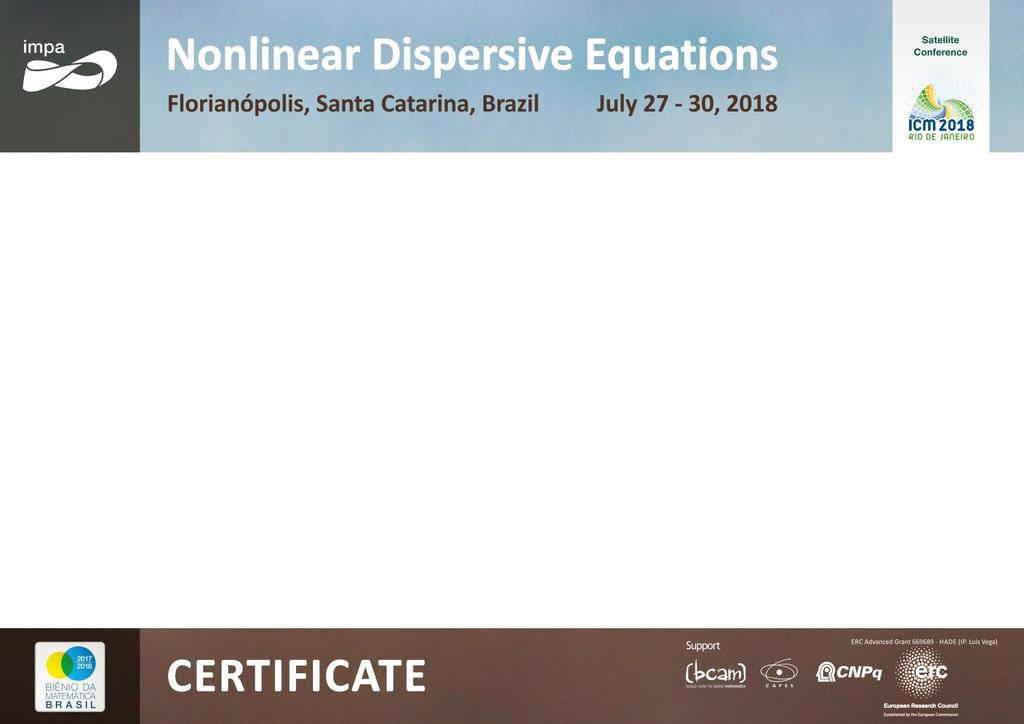 We hereby certify that, Andressa Gomes - IMECC, participated in the Workshop Nonlinear Dispersive Equations, held at Hotel Mar de Canasvieiras Florianópolis,