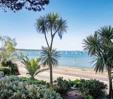 Ferries run regularly in season, from Harbour and Jurassic Coastal Cruises, to trips exploring Brownsea Island, just a short 20 minute boat trip away and further