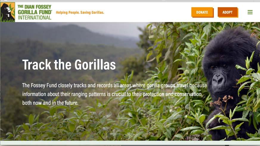 Partners Dian Fossey Gorilla Fund International The Dian Fossey Gorilla Fund International protects the