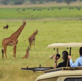 leopard, elephant, giraffe, spotted hyaena, zebra, topi, roan, eland and more.