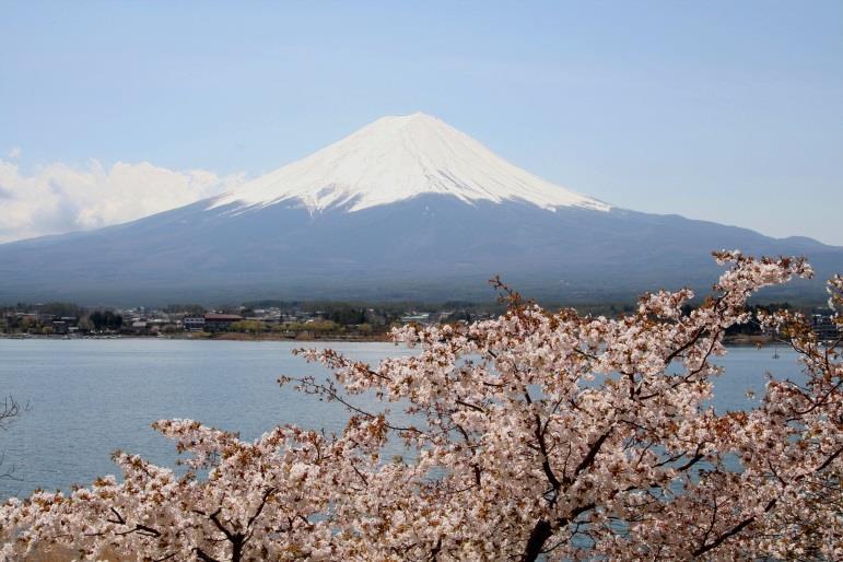 Mount Fuji Majestic Mount Fuji is the highest mountain in Japan and a cultural Site on UNESCO's World Heritage