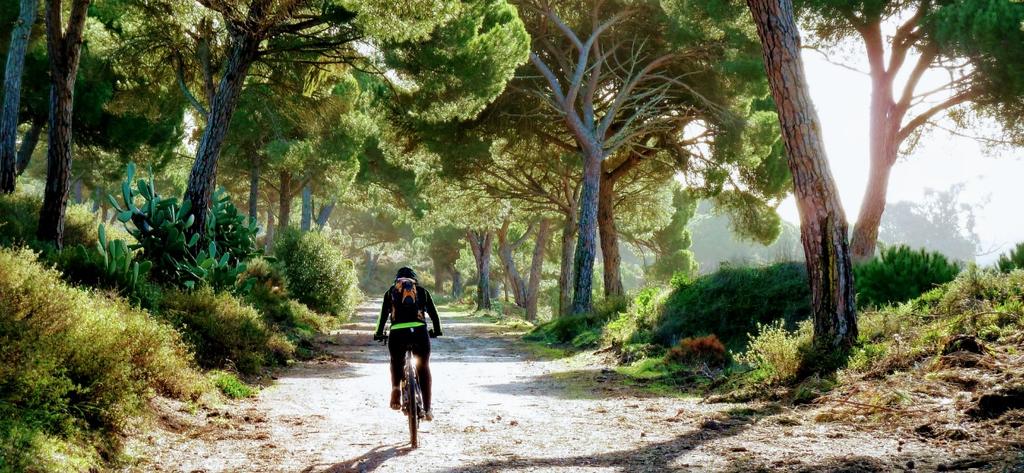 THE TRUE EXPERIENCE OF MTBIKING ALONG THE MOST BEAU- TIFUL COASTLINE OF PORTUGAL, FROM LISBON TO SAGRES From the outskirts of Lisbon to the south-westernmost point of Europe, you will admire the