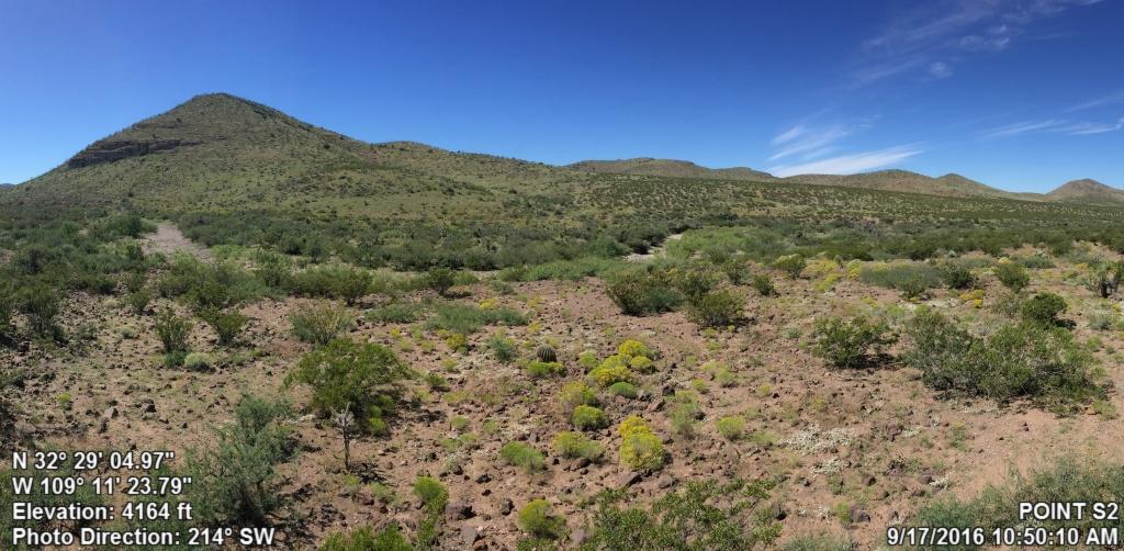 Peloncillos Mountains Wilderness Proposed LWC Section 1: Overview of the Proposed Lands with Wilderness Characteristics In this report, we propose three separate units with wilderness characteristics