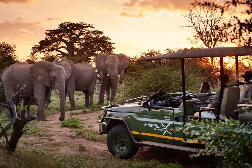 Activities included Sunrise and sunset river cruises on the mighty Zambezi River Guided morning and afternoon game drives into the Zambezi National Park Enjoy wildlife viewing from own room or