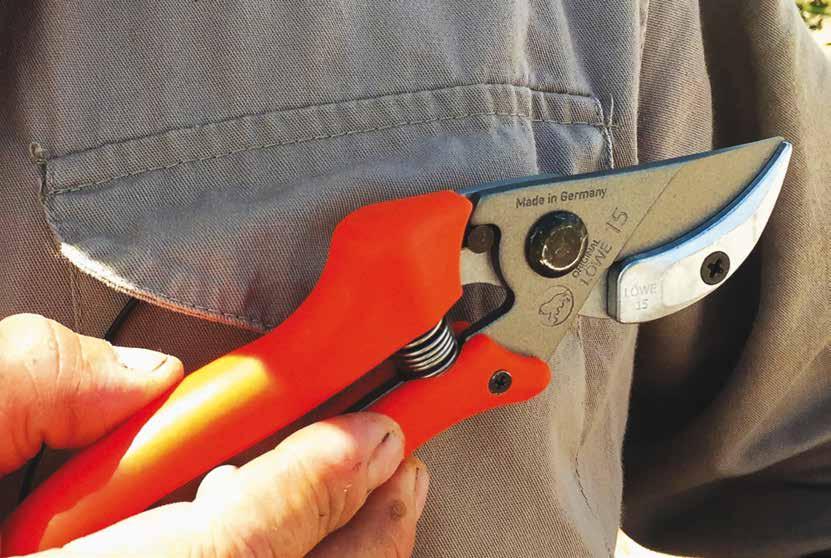 Anvil pruning shears Bypass pruning shears Loppers Spare parts and accessories 15 15 Compact anvil pruner with curved blade» Our