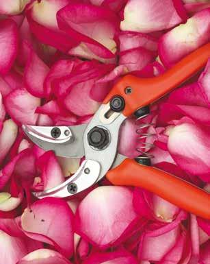 Very useful in rose-production. Available in two different handle shapes for regular or smaller hand sizes. 16.104 Standard handle shape 16.
