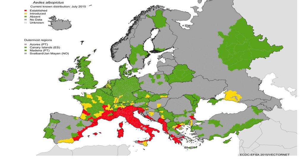 Chikungunya transmission in Europe France 2010: 2 cases (ECSA -India).