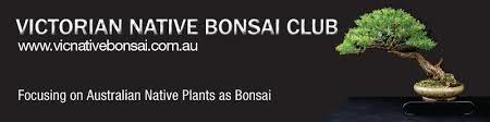 2016 AUSTRALIAN NATIONAL BONSAI CONVENTION The Bonsai Society of Southern Tasmania is delighted that it will be hosting the Australian National Bonsai Convention in 2016.
