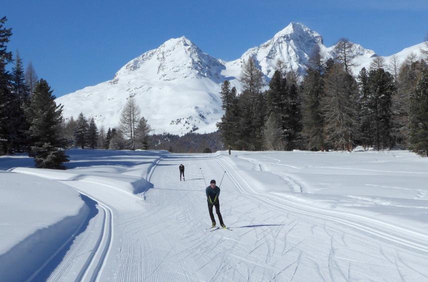 P A G E 4 10 Reasons to Ski. Sourced from PRO SKIING 2018 magazine 1 10 Reasons to Ski A Full Body Workout Few or none other endurance sports involve so many muscle groups as cross-country skiing.