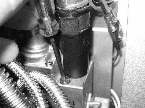 8. Remove the minimum rate screw located in the valve. (Fig. #19) Fig #19 9.