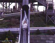 required to the top of the water slide