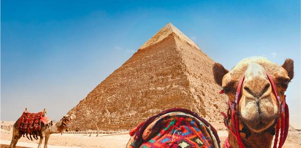 12 DAY FLY, TOUR & CRUISE PACKAGE EGYPT AND THE NILE $3699 PER PERSON TWIN SHARE TYPICALLY $5299 CAIRO ASWAN ALEXANDRIA THE OFFER If you d like to immerse yourself in a fascinating world of history,